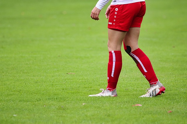 欧盟委员会 欧盟委员会