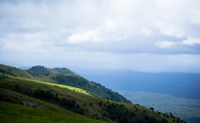 本赛季他们 本赛季他们