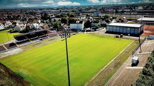 为红魔球迷 为红魔球迷