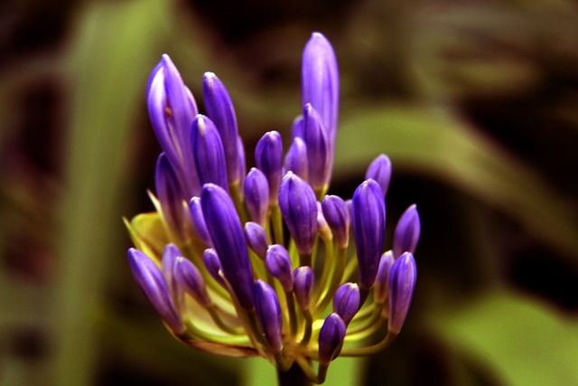 能力受到质 能力受到质