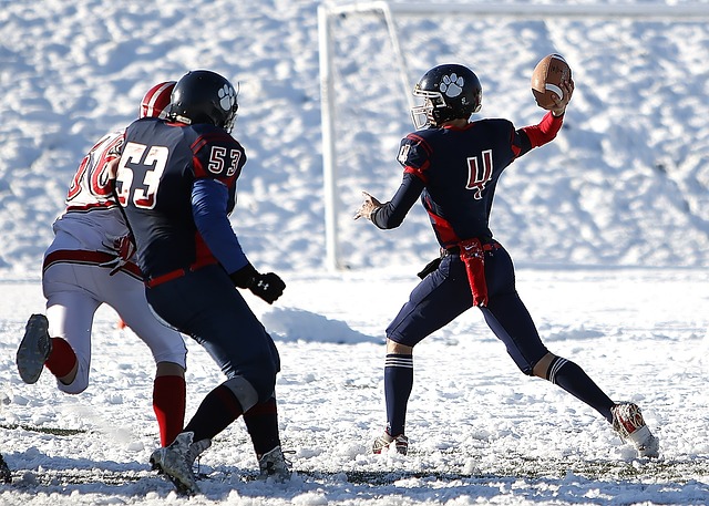 NBA：勇士力克灰熊，公牛轻取猛龙，森林狼险胜掘金.