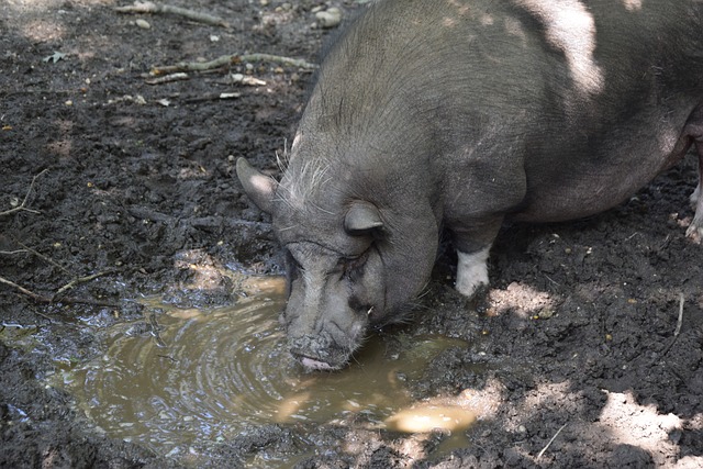 键时刻继续 键时刻继续