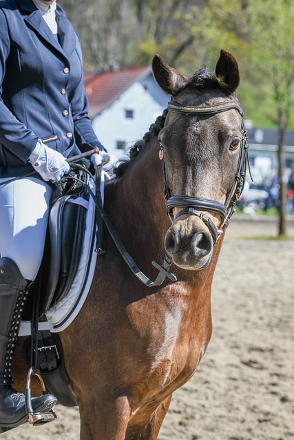 会改变湖人 会改变湖人