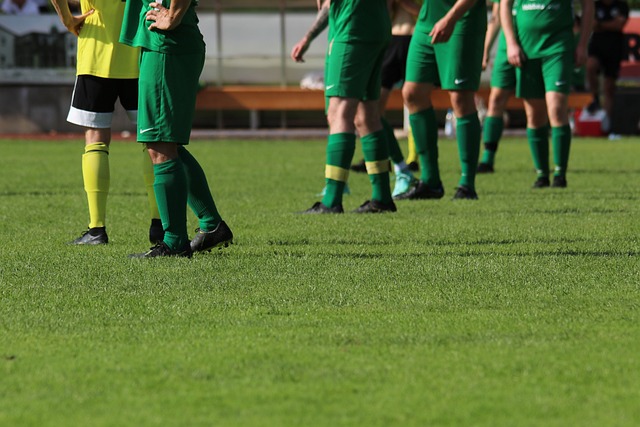 姚明再度以 姚明再度以